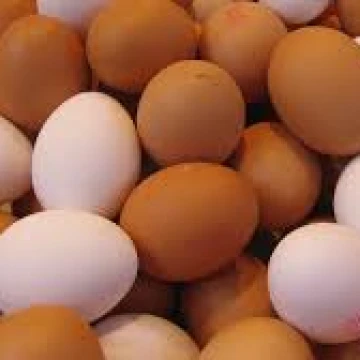Eggs